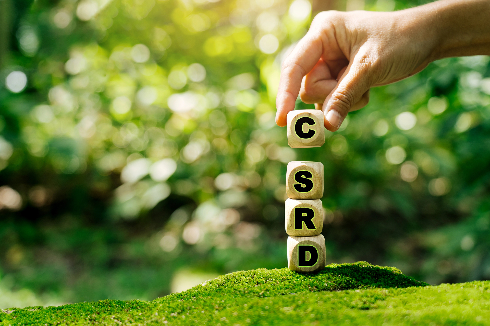Pubblicati ESRS rivisti e nuovo Standard volontario UE